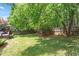 Backyard featuring lush green trees, manicured lawn and a partial view of a fenced boundary offering privacy at 3810 Stoneybrook Dr, Durham, NC 27705