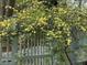 Yellow flowers cascading over the fence add charm to the property at 400 Bowling Creek Rd, Chapel Hill, NC 27514
