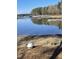 Beautiful lake view with docks, clear blue water, and a wooded shoreline on a sunny day at 420 Spring Ln, Henderson, NC 27537