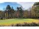 Beautiful golf course view featuring a green surrounded by mature trees at 445 Olivia Crossing Ct # 22, Four Oaks, NC 27524