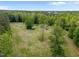 Aerial view of large lot with storage shed and trees at 4701 Brock Dr, Hurdle Mills, NC 27541