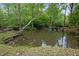 A tranquil pond surrounded by lush greenery and mature trees, with a small waterfall feature at 4701 Brock Dr, Hurdle Mills, NC 27541