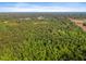 Vast aerial view displays dense forestation with a glimpse of nearby housing at 494 Asset Pkwy, Sanford, NC 27332