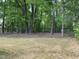 Lot with mature trees offers a peaceful, natural setting, enhancing the property's appeal at 502 Burton St, Fuquay Varina, NC 27526