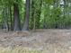Landscaping and mature trees provide a natural backdrop for this lot, enhancing its potential at 502 Burton St, Fuquay Varina, NC 27526