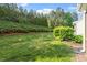 Spacious backyard featuring mature trees and shrubs, providing privacy and natural beauty at 5912 Hourglass Ct, Raleigh, NC 27612