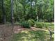 Lush backyard with mature trees, birdhouses, and a well-maintained lawn at 7401 Walnut Grove Ln, Zebulon, NC 27597
