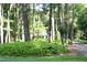 Picturesque landscape featuring mature trees surrounding the house with greenery in the yard at 7401 Walnut Grove Ln, Zebulon, NC 27597