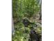 Scenic backyard featuring a rock waterfall flowing into a tranquil pond surrounded by lush greenery at 7401 Walnut Grove Ln, Zebulon, NC 27597