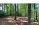 Tranquil wooded backyard with a custom fire pit area, ideal for outdoor entertaining and relaxation at 108 Horseman Dr, Louisburg, NC 27549