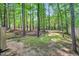 Lush backyard view features towering mature trees and a small grassy area, enhancing the natural beauty at 11 Bridgeport Dr, Durham, NC 27713