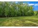 Spacious backyard featuring a well-maintained lawn and mature trees for shade at 112 Serenata Dr, Holly Springs, NC 27540