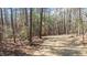 This large wooded lot provides a private natural space with views of trees at 1430 Clifton Pond Rd, Louisburg, NC 27549