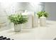 Elegant kitchen countertop showcases a decorative plant next to containers, enhancing the space's charm at 425 Shadow Falls Dr, Wendell, NC 27591