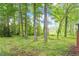 Backyard with grassy area and mature trees surrounding the perimeter at 5613 Deerborn Dr, Apex, NC 27539