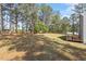 Spacious grassy backyard surrounded by tall, mature trees offering privacy at 7729 Calcutta Dr, Willow Springs, NC 27592