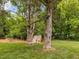 Tranquil backyard setting with a wooden swing hanging between two mature trees at 967 Bynum Rd, Pittsboro, NC 27312