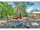 Scenic pasture with grazing horses, mature trees, lake, and gazebo creating a serene environment at 206 Kittys Ln, Erwin, NC 28339