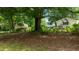 Serene backyard with mature trees, shed, and ample space for outdoor activities at 209 E Winston St, Youngsville, NC 27596