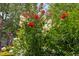 A beautiful shot of a lush yard with colorful flowers, trees, and shrubs at 277 High Ridge Ln, Pittsboro, NC 27312