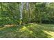 Expansive backyard featuring lush grass, mature trees, and natural sunlight at 3203 Rugby Rd, Durham, NC 27707