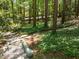 Wooded backyard featuring mature trees and landscape covered walking paths at 3203 Rugby Rd, Durham, NC 27707