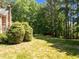 Expansive backyard with well-maintained lawn and mature trees, offering privacy and tranquility at 3203 Rugby Rd, Durham, NC 27707