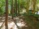 Winding natural path surrounded by lush trees and greenery in a secluded outdoor space at 3203 Rugby Rd, Durham, NC 27707
