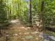 Natural pathway with stepping stones and lush surroundings, creating a serene outdoor experience at 3203 Rugby Rd, Durham, NC 27707