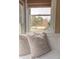 Comfortable window seat with decorative pillows overlooks a serene outdoor view at 325 Hogans Valley Way, Cary, NC 27513