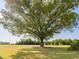Beautiful green space with large tree and rope swing in the community at 364 Peach Grove Way, Lillington, NC 27546