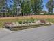 Landscaped pond and garden area featuring ornamental plants and backyard scenery at 4001 Campbell Rd, Raleigh, NC 27606