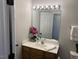 Bathroom vanity featuring a modern faucet and a decorative orchid for a touch of elegance at 4910 Briarstone Ct, Raleigh, NC 27610