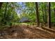 View of the home's wooded backyard and deck offering a private outdoor space at 568 Piney Mountain Rd, Chapel Hill, NC 27514