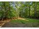 Expansive backyard with mature trees offering privacy and a natural setting at 568 Piney Mountain Rd, Chapel Hill, NC 27514