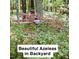 Backyard with lush azaleas adding color and beauty to the landscape at 5825 Scalybark Rd, Durham, NC 27712