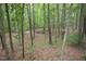 The property features a wooded lot with mature trees at 5825 Scalybark Rd, Durham, NC 27712