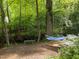 Serene backyard scene featuring a hammock and bench, surrounded by lush greenery and mature trees at 6125 Bellow St, Raleigh, NC 27609