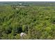 Expansive view of a vast wooded area with a home nestled in the center of the trees at 9625 Collins Creek Dr, Chapel Hill, NC 27516