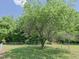 Fenced backyard with a mature tree, offering a private outdoor space at 101 Cardinal Dr, Youngsville, NC 27596