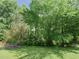 Large grassy backyard with mature trees, providing plenty of shade at 101 Cardinal Dr, Youngsville, NC 27596
