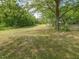 Expansive yard with mature trees provides ample space for outdoor activities at 10186 W Nc-97 Hwy, Middlesex, NC 27557
