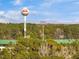 Panoramic view of a baseball-themed water tower among lush greenery, set against a clear blue sky at 1024 Channel Drop, Zebulon, NC 27597
