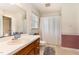 The bathroom includes a vanity, a mirror, and a shower with curtain at 123 Sanders Road Rd, Benson, NC 27504