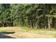 Large backyard with lush greenery and mature trees provides privacy and nature views at 214 Alden Way, Angier, NC 27501