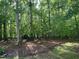 View of a wooded backyard with mature trees and natural landscape at 524 Preston Andrews Rd, Bahama, NC 27503