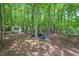 View of wooded backyard featuring a storage shed on a leafy ground at 524 Preston Andrews Rd, Bahama, NC 27503