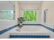 Bright bathroom featuring a relaxing tub with a scenic window view and blue accent tiles at 524 Preston Andrews Rd, Bahama, NC 27503