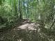 Scenic wooded path offering a serene natural retreat at 1021 Forest Glen Dr, Raleigh, NC 27603
