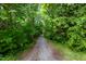 Private driveway winding through lush greenery, creating a grand entrance to your serene retreat at 1149 Highway Nc 87, Pittsboro, NC 27312
